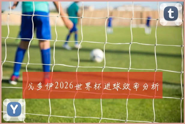 戈多伊2026世界杯进球效率分析