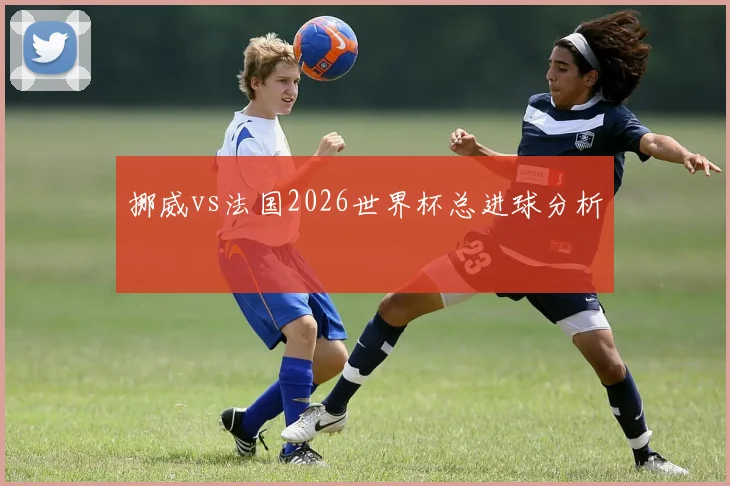 挪威vs法国2026世界杯总进球分析