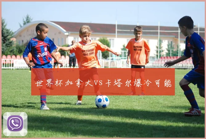 世界杯加拿大vs卡塔尔爆冷可能