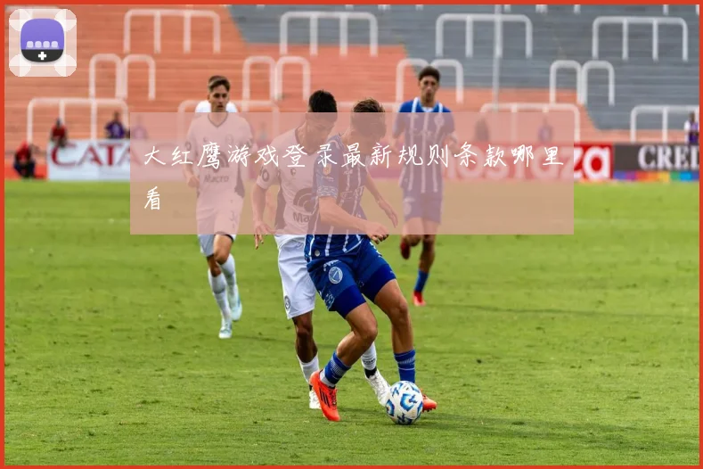 大红鹰游戏登录最新规则条款哪里看