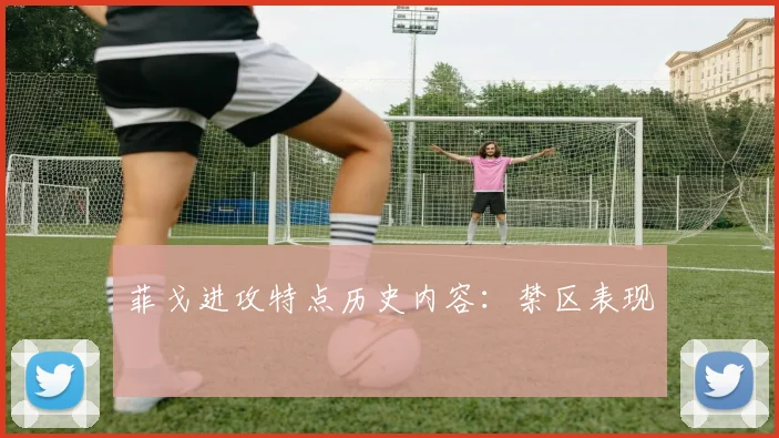 菲戈进攻特点历史内容：禁区表现