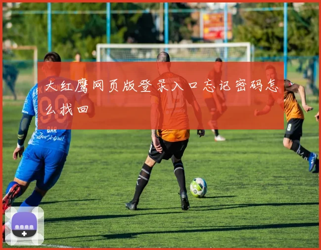 大红鹰网页版登录入口忘记密码怎么找回